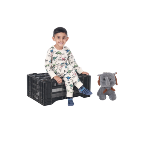 Junibear Dino Co-ords Set - Junibear